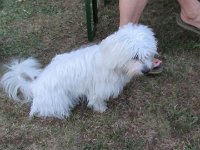 Poolparty 2013 (42)